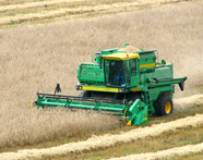 Agriculture
